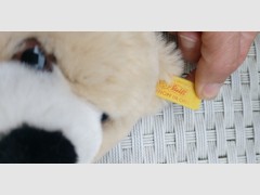 Card image cap